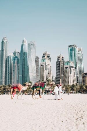 Plage à Dubaï avec des chameaux, exemple de voyage sur mesure au Moyen-Orient organisé par Nahra Travel, travel planner spécialisée Asie et Moyen Orient