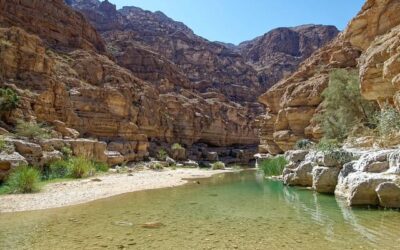 Oman : l’art de l’authenticité entre déserts, montagnes et fjords