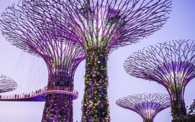 Singapour : l’art de la modernité au carrefour de l’Asie