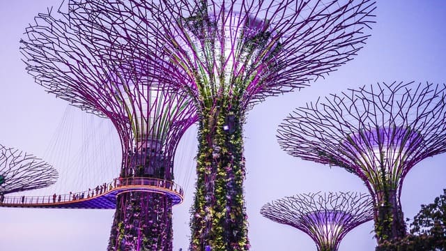 Les impressionnants “Supertrees” illuminés de Gardens by the Bay à Singapour, une visite incontournable lors d’un voyage à Singapour - voyage sur mesure avec Nahra Travel, spécialiste Asie et Moyen-Orient.