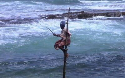 Sri Lanka : l’art de l’évasion entre temples, thé et plages sauvages